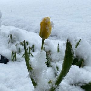 Meet your Posher, Marjorie